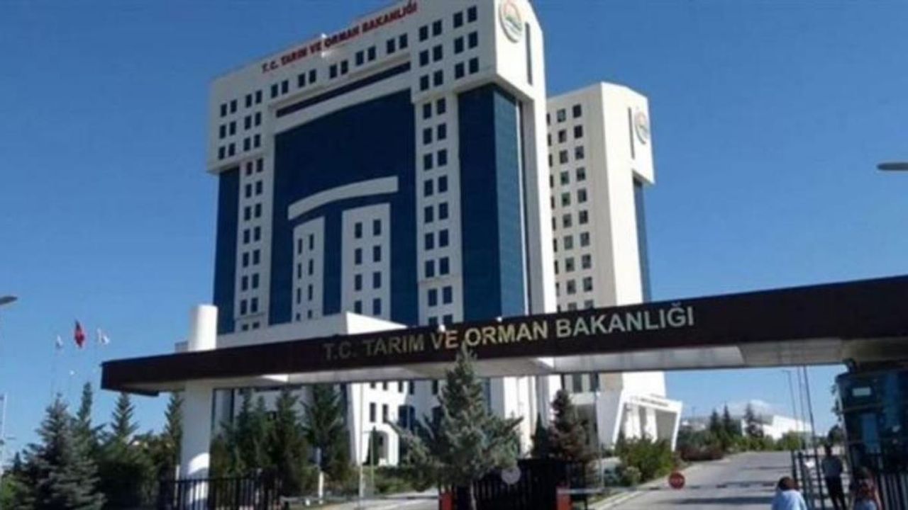 Tüketicilere kritik uyarı: Taklit ve tağşiş yapılan 3 bal markası ifşa edildi!