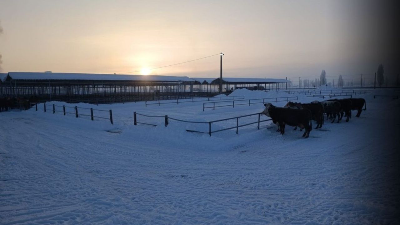 Türkiye’nin en büyük hayvan pazarı kar nedeniyle kapatıldı!
