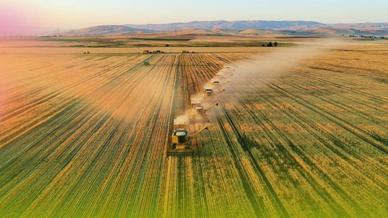 Tarım sektöründe yaşanan olumsuzluklar ihracata nasıl yansıdı? Rekor rakamlar açıklandı