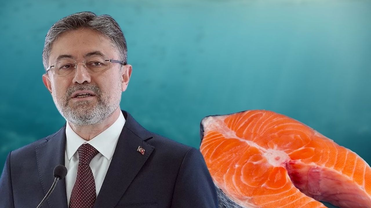 Türk Somonu ihracatta rekor kırıyor: Kayseri neresinde yer alıyor?