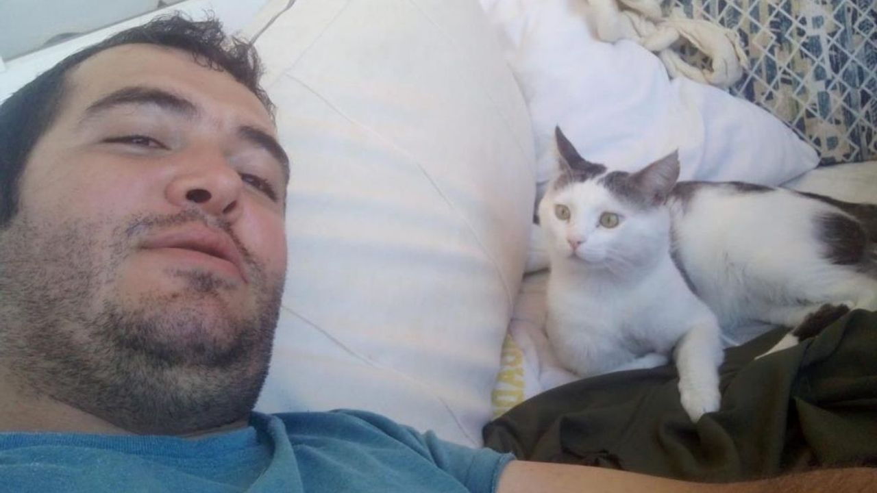 Kayseri'den dönüşte kaybolan kedisi için kilometrelerce yol yaptı, yetmedi ödül koydu