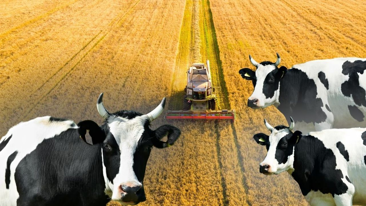 Kayseri tarımı alarm veriyor: TÜİK verileri ne anlatıyor?