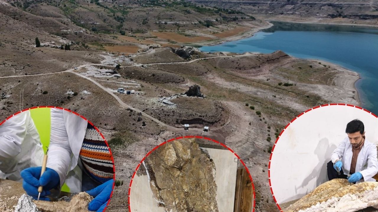 Kayseri Taşhan’da 7,7 milyon yıllık geçmişe ışık tutan yeni fosil buluntuları