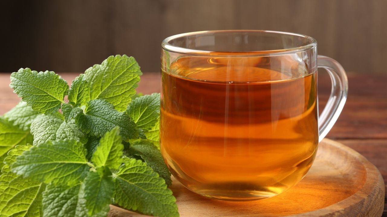 Kayseri'de uyuyamayan melisa çayına koşuyor: Fiyatı ise dudak uçuklatıyor