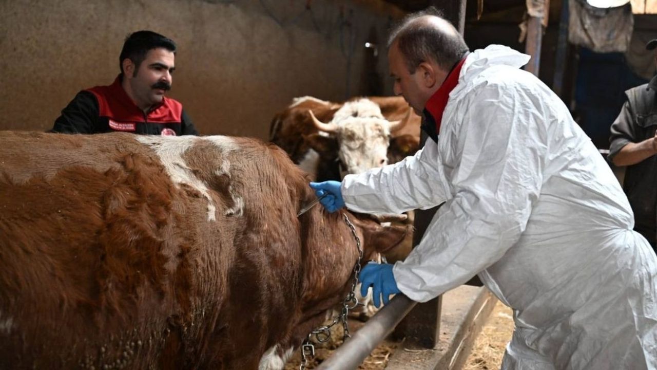 Sahada ilk aşı Saklav'dan : Seferberlik Melikgazi’den başladı