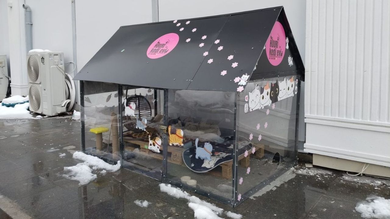 Kayseri esnafından örnek davranış: Isıtmalı kedi evi yaptılar