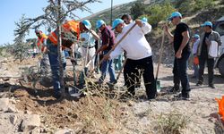 Talas belediye meclis üyeleri Ali Dağı'nda fidan dikti