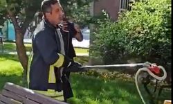 Kayseri'de 2 parkta yılan paniği