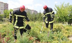 İtfaiyenin 'Yılan Yakalama Timi' iş başında