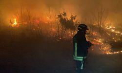 İtalya'da Orman Yangını: Alevler Evlere Yaklaştı