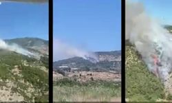 İzmir ve Manisa’da 9 Orman Yangını Söndürüldü
