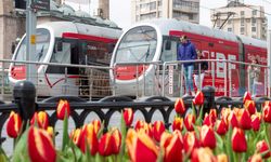 Tramvaylarda Ücretsiz İnternet Dönemi Başladı