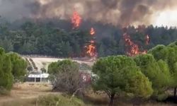 İzmir’deki Orman Yangınına Havadan ve Karadan Müdahale