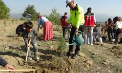 Adana’da 2023 Yılı İçinde 95 Bin 800 Fidanın Toprakla Buluşması Hedefleniyor