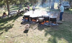 Toros Dağı Zirvesinden Türkiye'ye Yayılan Şifa: Andız Pekmezi