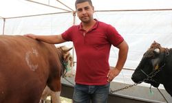 Besiciler satışlardan memnun, yem fiyatlarından şikayetçi 