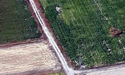 Jandarma son 1 yılda 5 ton esrarın piyasaya sürülmesini engelledi 