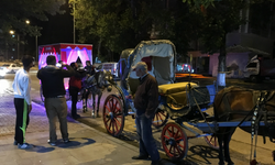 Develi'de fayton turları başladı