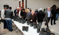 Talas Belediyesi karadut fidesi dağıttı 