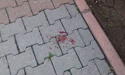 Silahlı, Bıçaklı kavga: 2 yaralı / Dehşet anları amatör kamerada