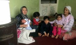 İki Afgan mülteci aile aynı evde kaderlerini paylaşıyor 