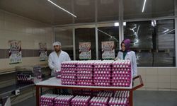 Türkiye’den ihraç edilen her 3 yumurtadan biri Kayseri’den 