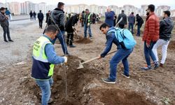 Öğrenciler Afrin ve El Bab şehitleri için ağaç dikti