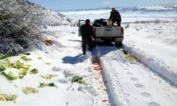 Kayseri Orman ve Su İşleri Müdürlüğü yaban hayvanları için yem bıraktı 