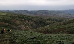 Uçuruma yuvarlanan inek itfaiye tarafından kurtarıldı