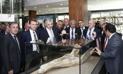 Dünyada tek örneği bulunan 7,4 milyon yıllık fosiller sergide ziyarete açıldı 
