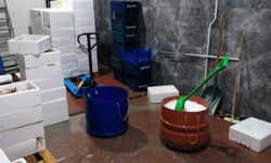 Kaçak ve sağlıksız depolanan 15 ton balık imha edildi 