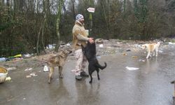 Köpek saldırılarından korunma yöntemleri