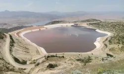 'Bu Topraklarda 15 Bin Ton Siyanür Var'