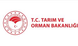 Başvuru Yapanlar Dikkat! Yarın Açıklanıyor!