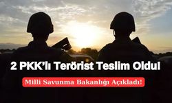 2 PKK’lı Terörist Teslim Oldu!