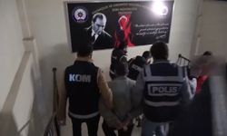 Kayseri’de Yılanlar, Erzincan’da Koçlar: 4 tutuklu