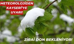 Kayseri'ye Meteoroloji'den Uyarı: Zirai Don Bekleniyor