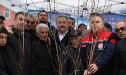 Melikgazi’de 21 Bin Adet Meyve Fidanı Dağıtılacak!