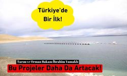 Türkiye'de İlk! Bu Projeler Daha Da Artacak!