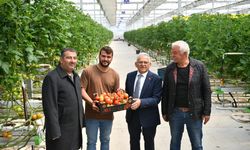 Kayseri'de Yeni Sera Alanı Nereye Yapılacak?