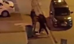 Kayseri'de Şehir Magandaları Kaldırımdaki Ağacı Söktü!