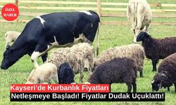 Kayseri’de Kurbanlık Fiyatları Netleşmeye Başladı!