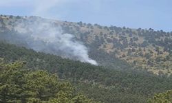 Adana'da Korkutan Orman Yangını