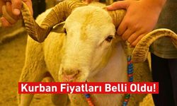 Kayseri’de Kurbanlık Fiyatları Netleşiyor!