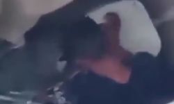Sonunda Bu Da Oldu… Tavuğa Tecavüz Etti!
