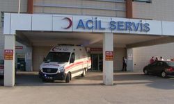 Kahreden Olay: 2 Yaşındaki Torununu Ezdi!