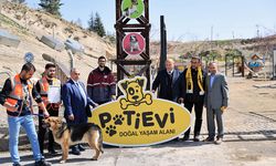 Kayseri'de ki Pati Evi Türkiye'ye Örnek Oluyor!