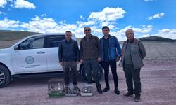 Kayseri’de Nesli Tükenen Kuşları İş Yerinde Sakladılar