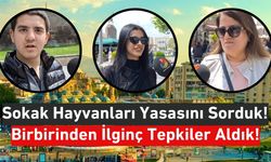 Kayserili Vatandaştan Kafa Karıştıran Açıklama: Bence Uyutulmalı, Biraz Dinlensinler