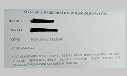 Gördüğünüz Tüm Dava Dilekçelerini Unutacaksınız!